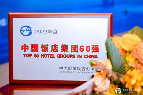 回顾2024上半年,万达酒店品牌力与市场版图共振前行