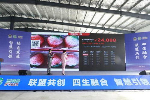 中国 长丰第十八届草莓文化旅游节暨草莓小镇 网络 开园仪式成功举办