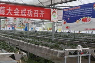 新春走基层长丰站 科技发展速度快 精准扶贫成果丰