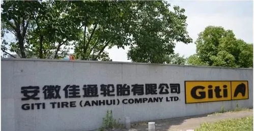 轮胎制造商,2020业绩大缩水